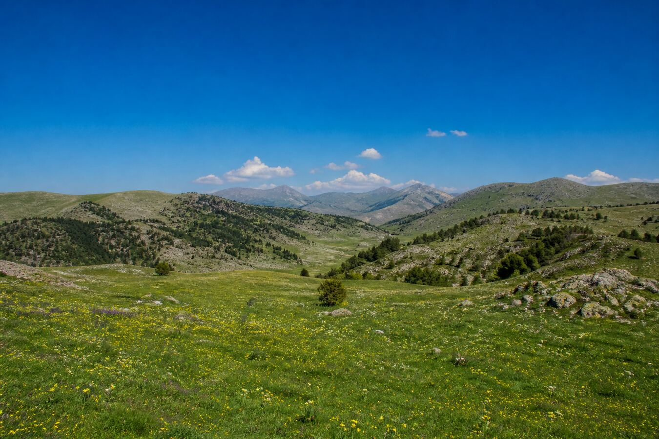 Yahyalı Denizovası Turu